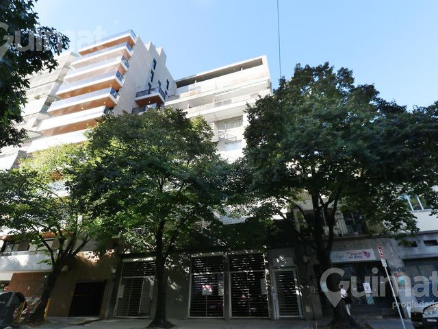 place photo 19