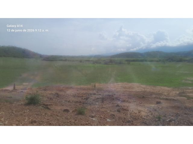 place photo 46