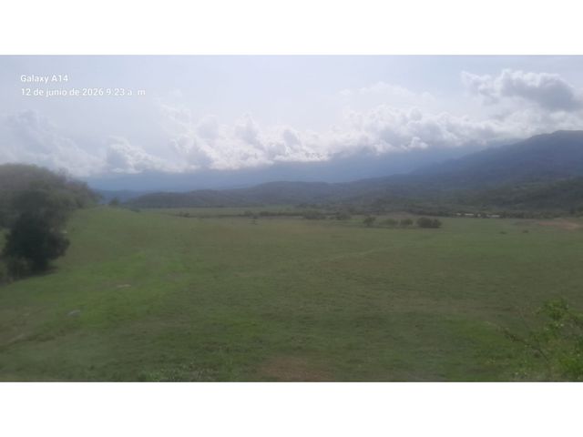 place photo 42