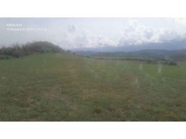 place photo 45