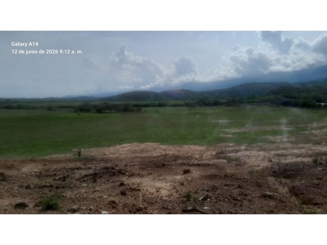 place photo 49