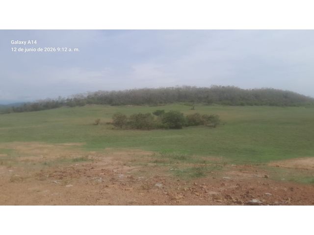 place photo 48