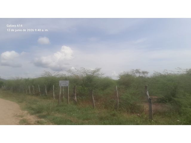 place photo 38