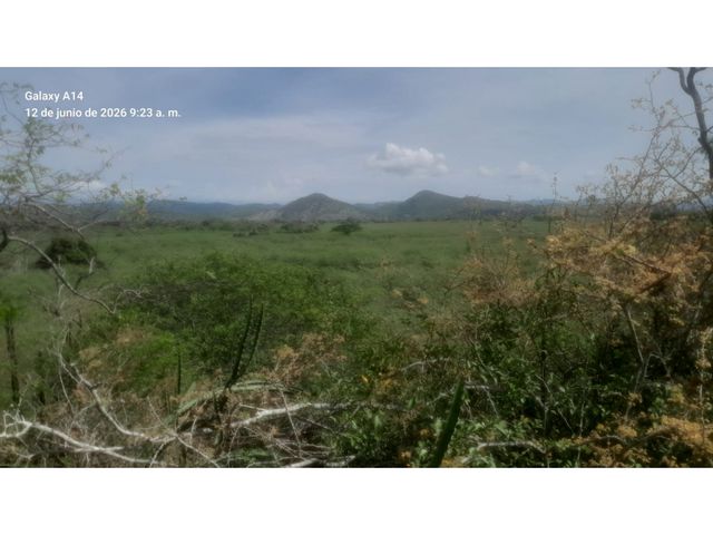 place photo 44
