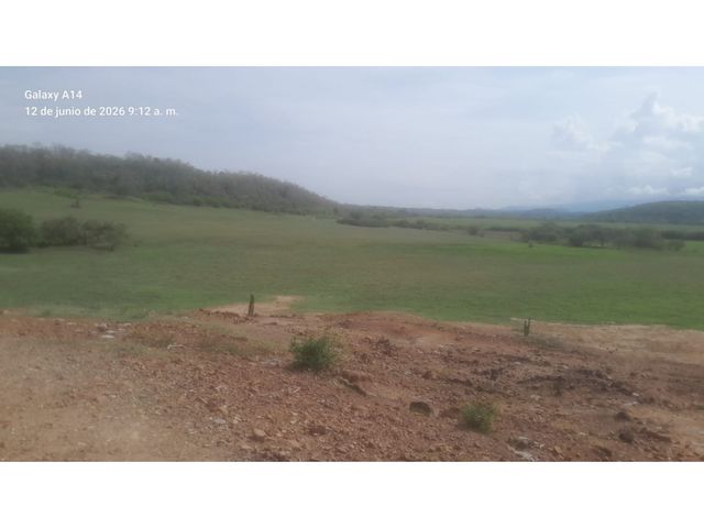 place photo 47