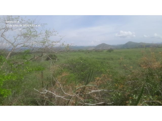 place photo 41