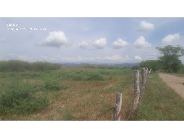 place photo 40
