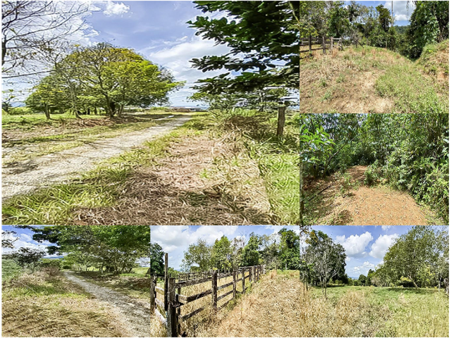 Venta de Finca en Cubarral Meta