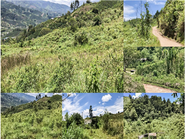 Venta de Finca Con DESCUENTO en Acevedo Huila
