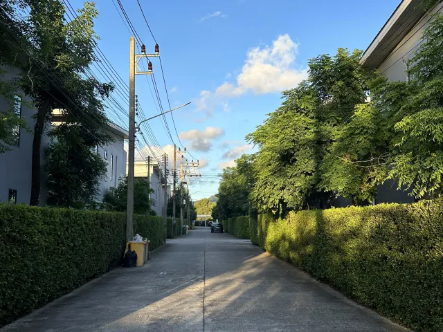 place photo 26