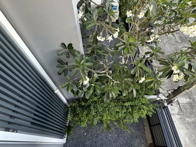 place photo 24