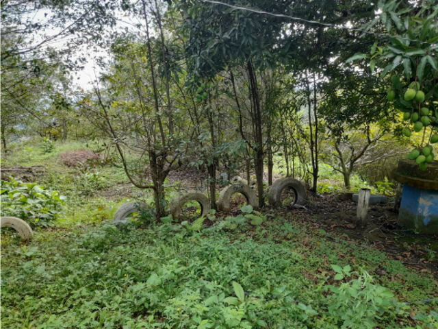 place photo 23