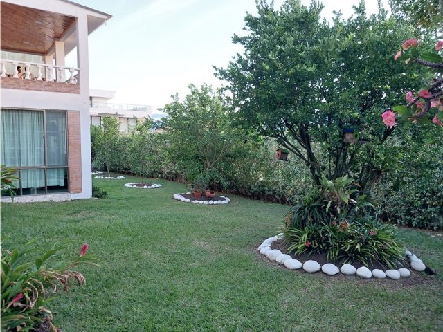 place photo 37