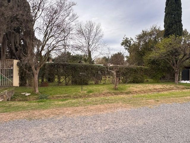 place photo 37