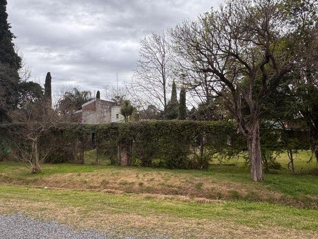 place photo 38