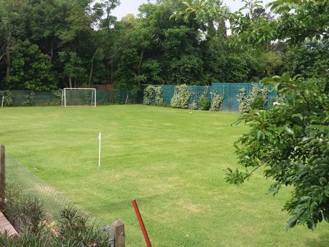 place photo 24