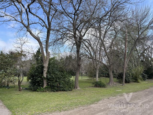 place photo 43