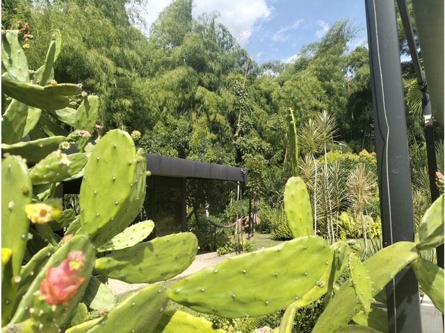 place photo 31