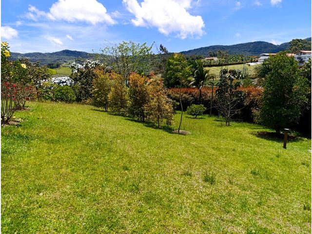place photo 58
