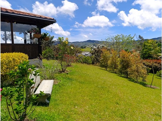 place photo 47