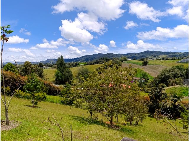 place photo 48
