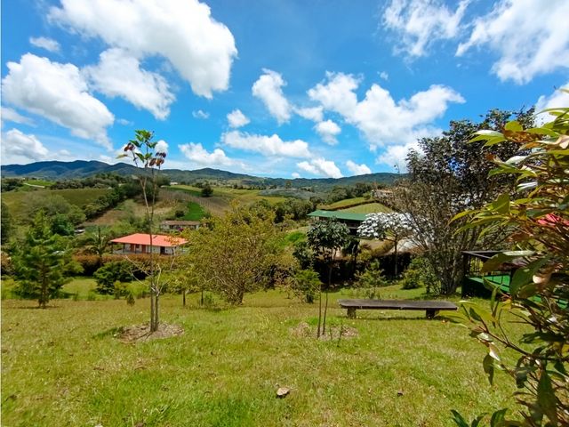 place photo 49