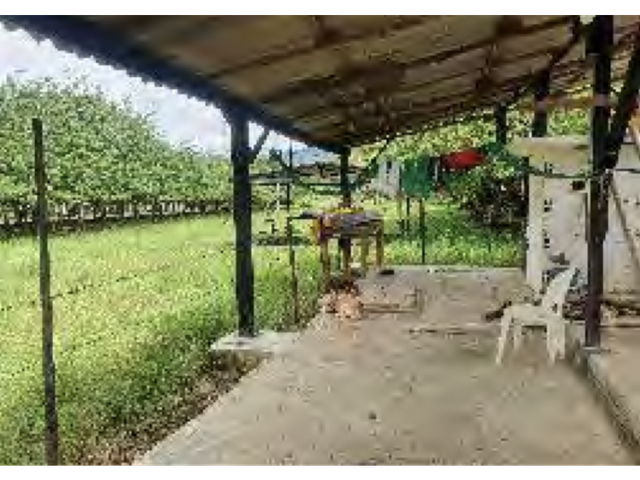 place photo 32