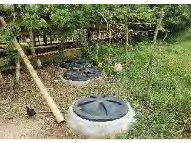 place photo 36
