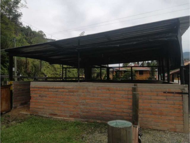 place photo 52