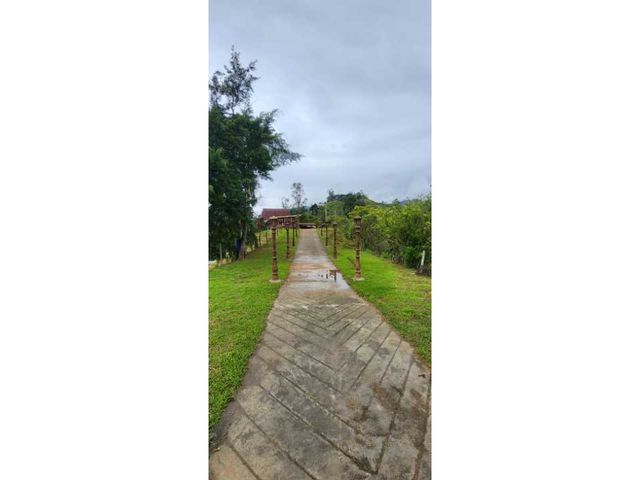 place photo 67