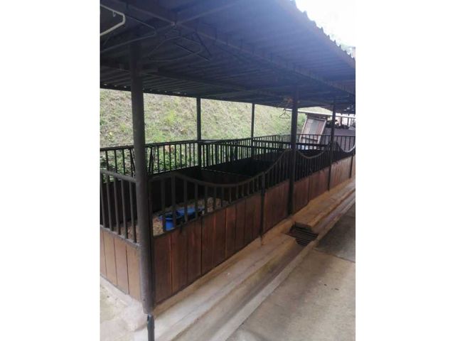 place photo 55