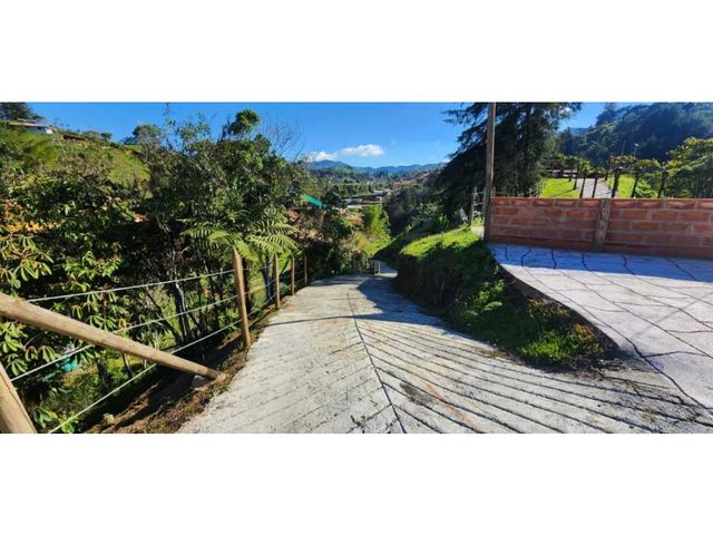 place photo 44