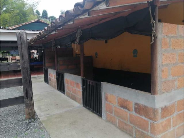 place photo 53