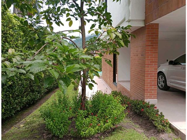 place photo 45