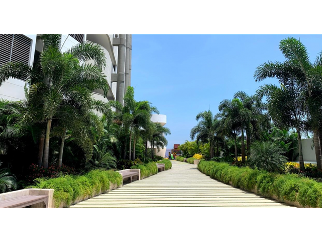 place photo 34