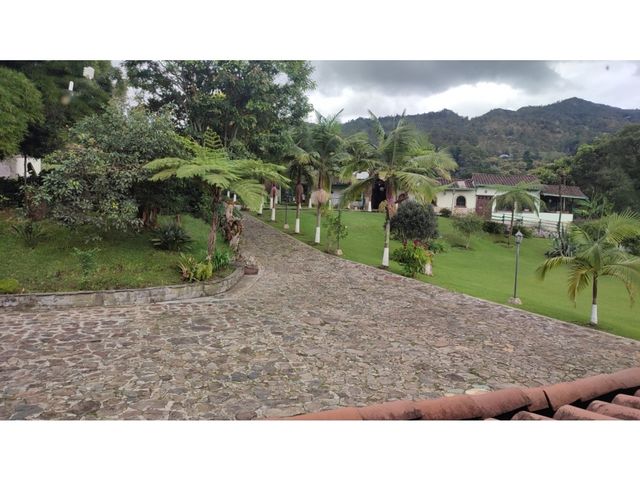 place photo 74