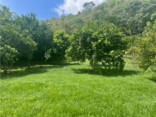 place photo 44