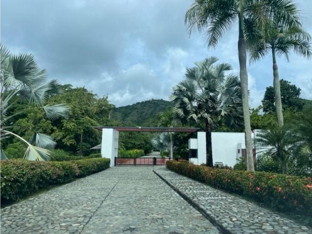 place photo 49