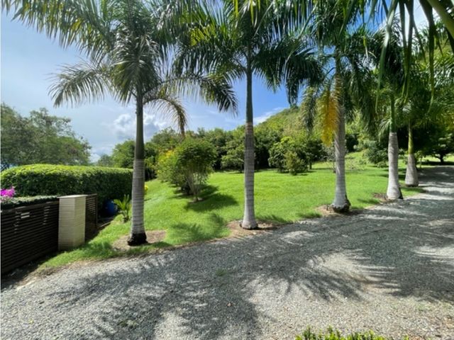 place photo 43