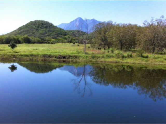 place photo 32