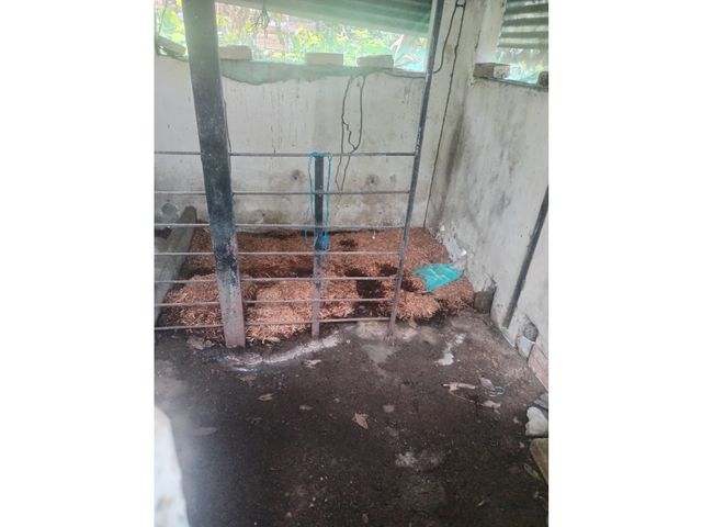 place photo 30