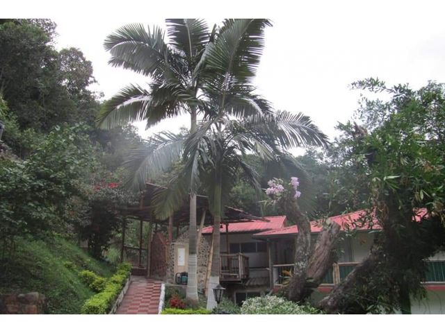 place photo 22