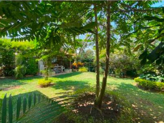 place photo 68