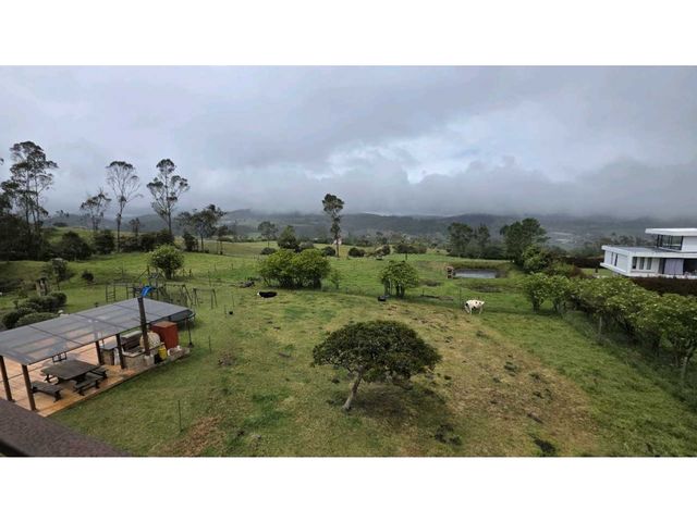 place photo 47