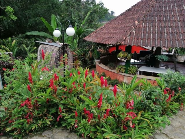 place photo 29