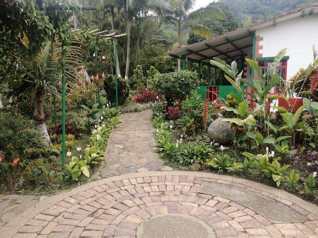 place photo 24