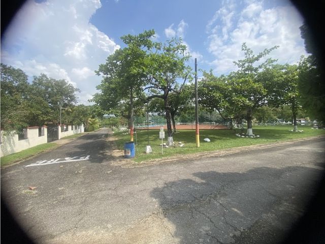 place photo 46