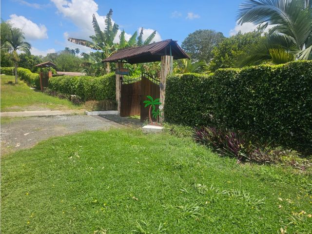 place photo 39