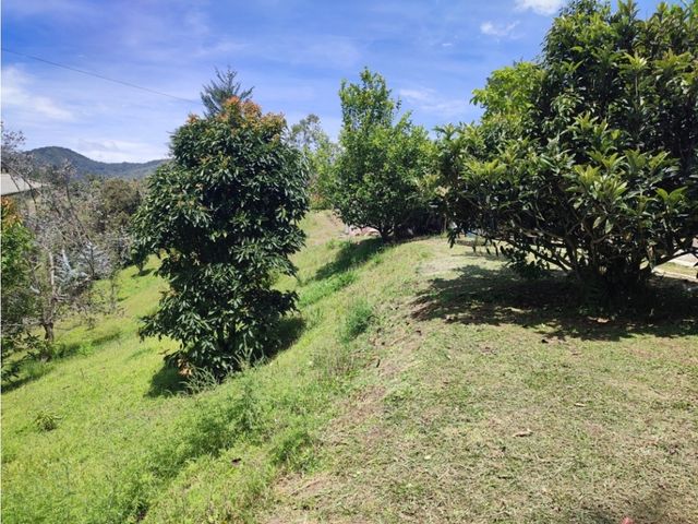 place photo 55