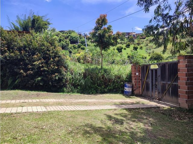 place photo 51